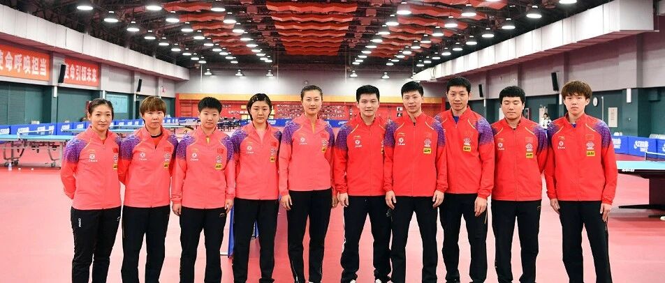 刘国梁不愿冒险！莎梦鱼并非他心中理想组合，丁宁刘诗雯难以忽视