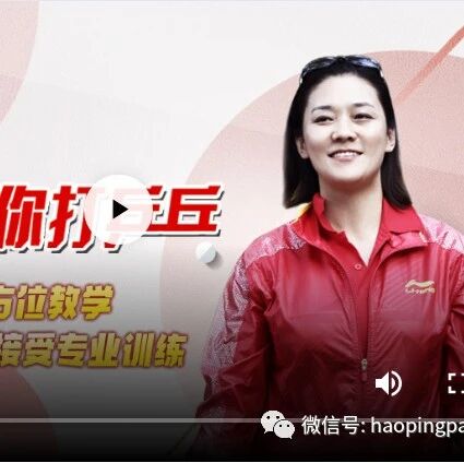 《世界冠军刘伟教你打乒乓》全集!适合“零基础"入门级"准高手"参看学习