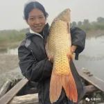 我国“四大家鱼”是哪4种鱼？“四大名鱼”又是啥？以后别再搞错了