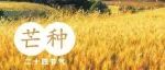 芒种将至，老人说2023年芒种“不一般”，有啥说法？农民早了解