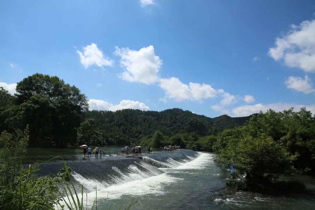 遇见最美江西泰和乌鸡之乡养生天堂