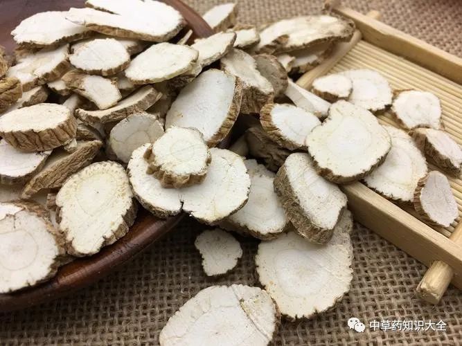 中药材白芷的功效和作用