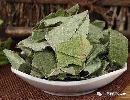 中药材淫羊藿（仙灵脾）的功效与作用