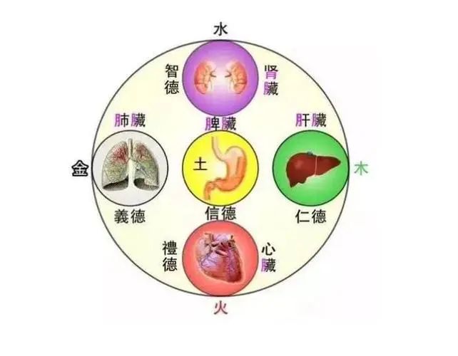 最全的五脏（心、肝、脾、肺、肾）调养方法，强烈建议收藏