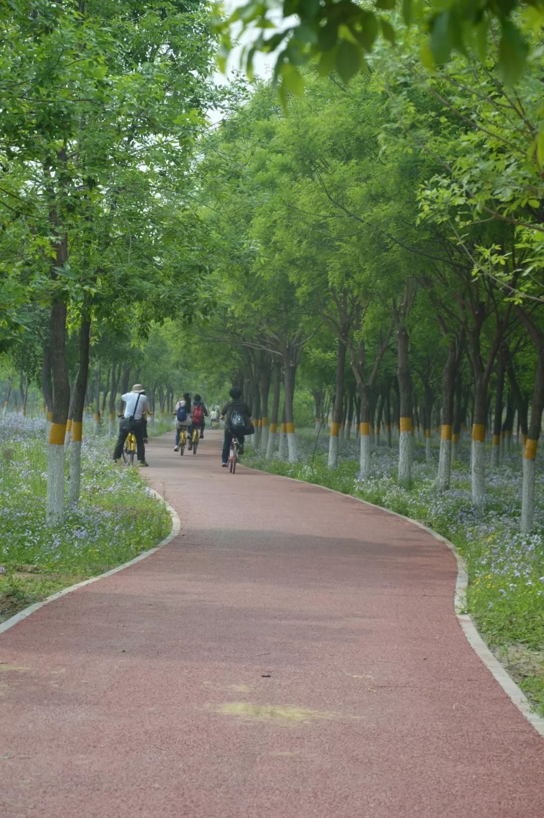 北京：温榆河公园-西园（2） - 知乎