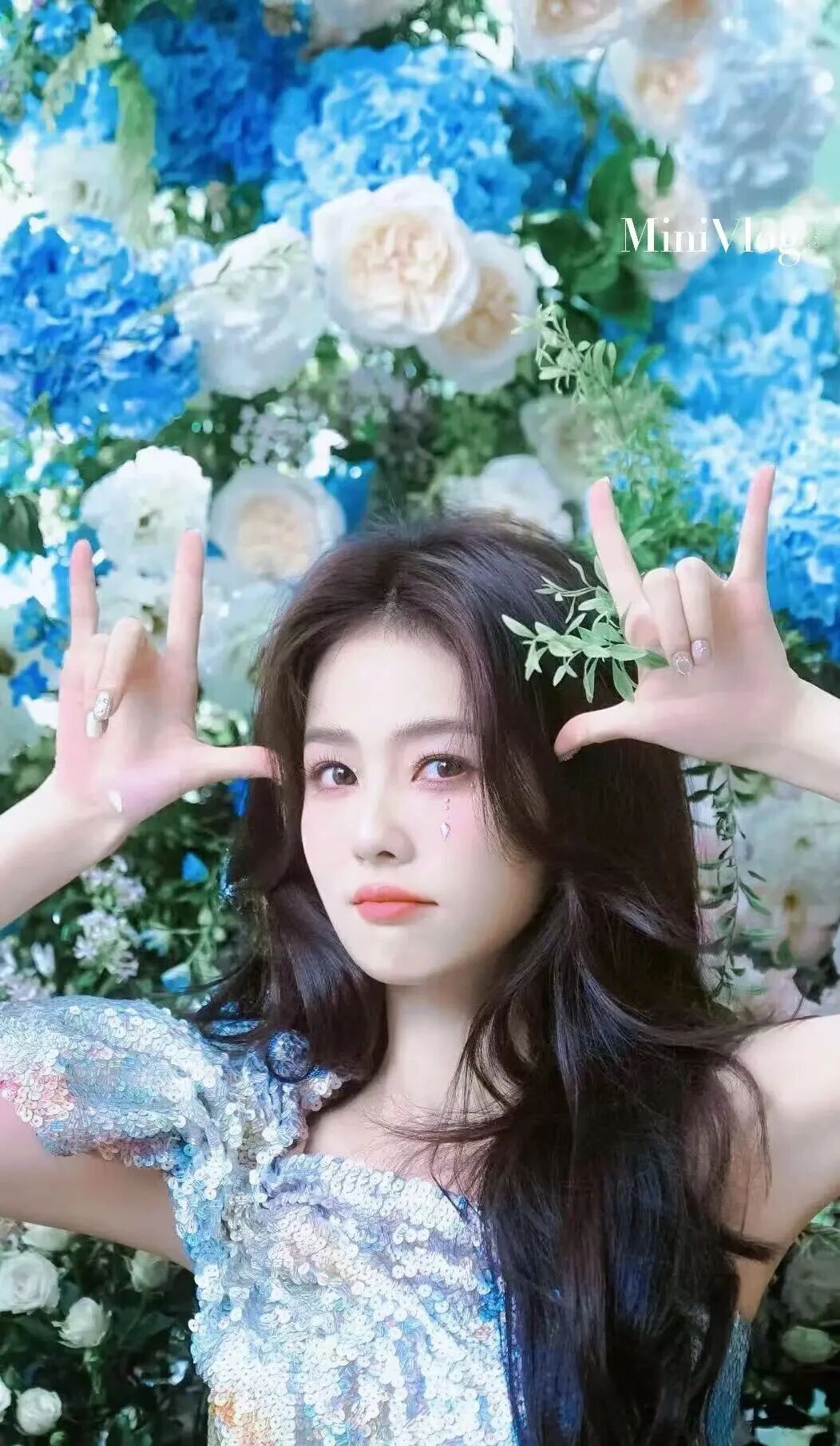 白鹿学历争议大结局