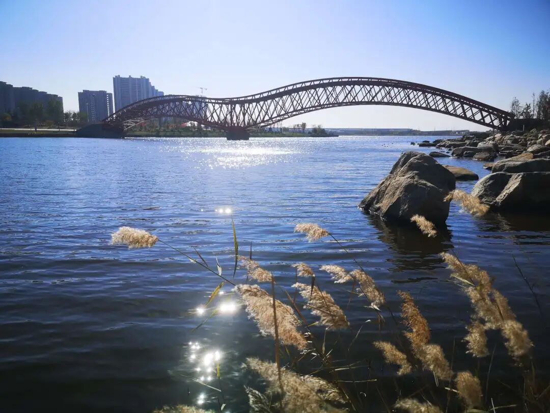 新春假期有点无聊胶州城区citywalk任你挑