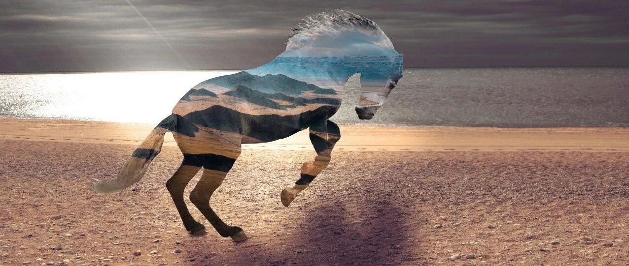 —17%！这只基金重仓大白马突然放量暴跌！跌幅两市第一！更有多只大牛股闪崩跳水！发生了什么？