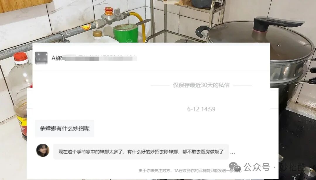 怎样灭除蟑螂