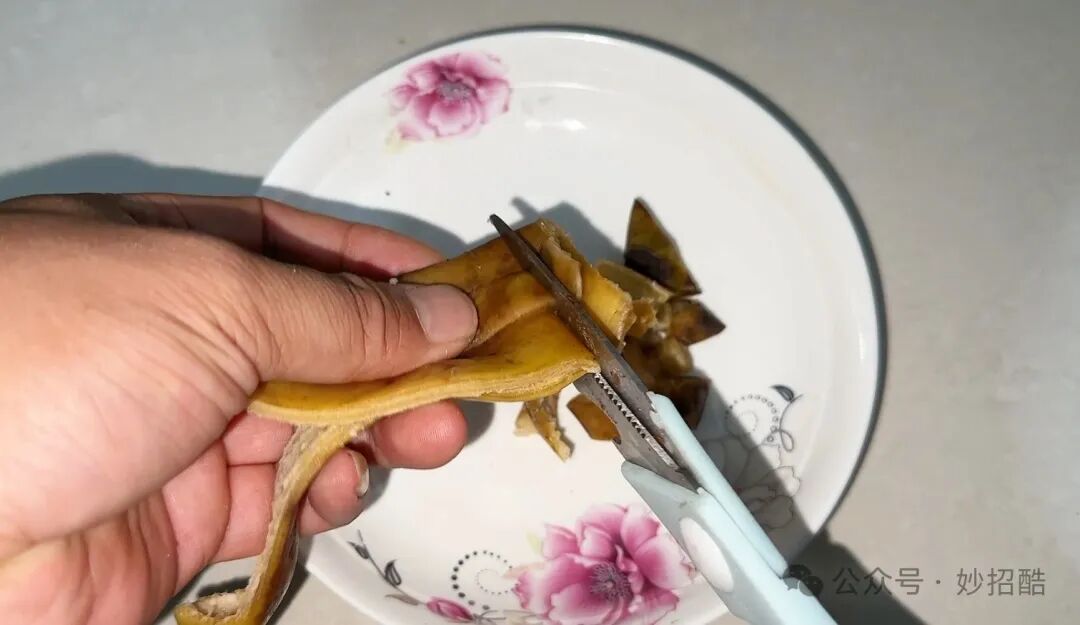 怎样灭除蟑螂