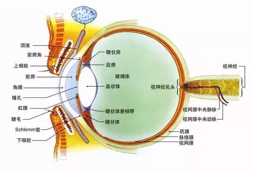 这种防控近视的方法，很多家长都没真正了解过