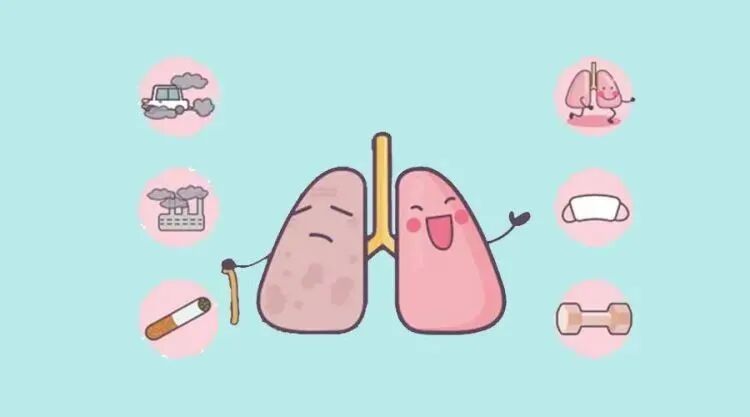 肺部结节 肺部结节