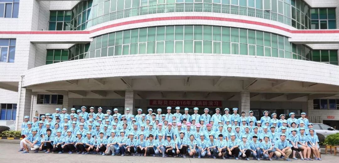 再见2018，再战2019| 高斯贝尔以匠心·致初心