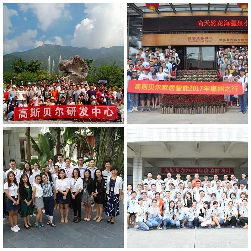 砥砺奋进十余载，高斯贝尔感恩一路有您