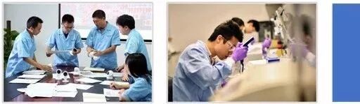 【高斯贝尔Family】熔炼团队，清远团建之旅精彩回顾！