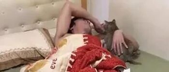 老爸左手撸猫，右脚拍着爱犬，网友看后笑了：全身都快抽筋了！