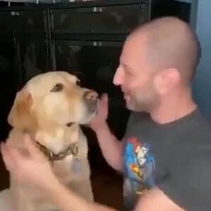 主人亲吻狗子想看看它们有什么反应，结果每一只都太暖了！