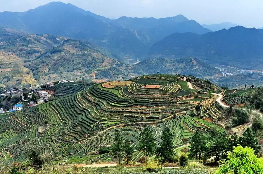 安溪有铁观音, 安溪有湖头米粉, 安溪有官桥豆干, 安溪有个地方叫魁斗