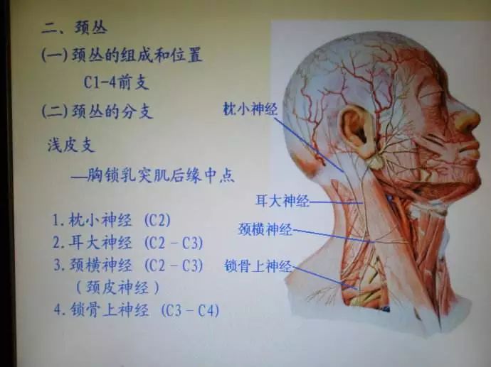 有一類頭痛不「單純」！近90%的頭痛都是這個原因…… 健康 第5張