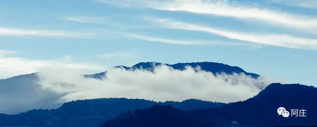 高山青，涧水蓝，阿里山的姑娘美如水……