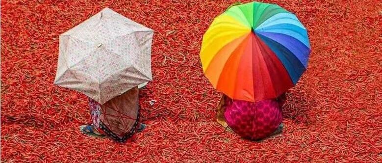 哪里有烦恼，哪里就是你修行的最佳道场！