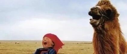 尊重，永远都是相互的（精辟）