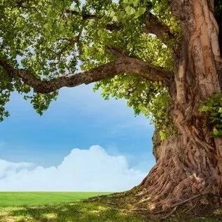 烦恼太多，是因为你的格局太小!