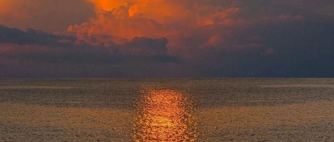 知乎上40个有趣神回复, 太绝了！