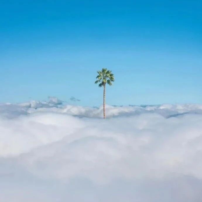 真正拉开人与人差距的，是精神上的自律