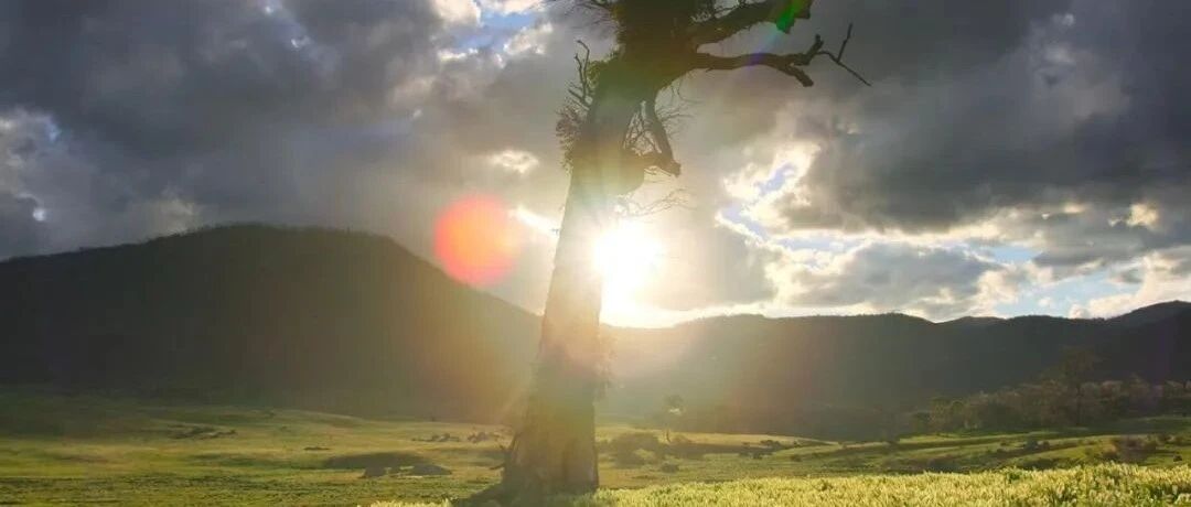 原来，这才是一个人最好的“福相”！