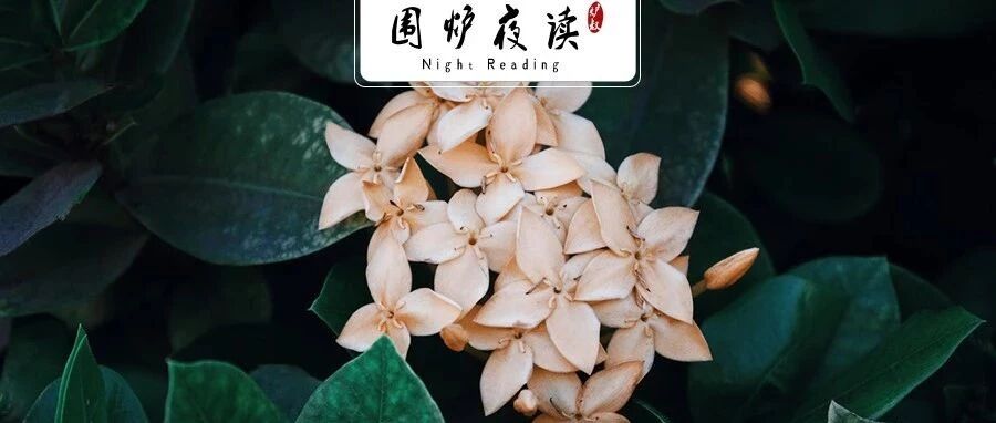 白岩松说“非常同情80后”，背后的真相扎心了