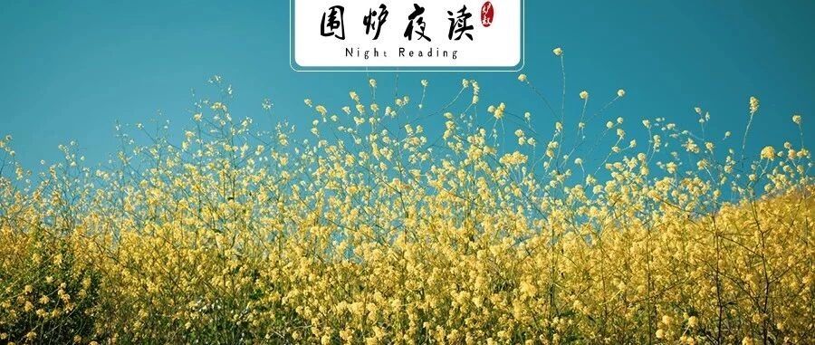 一个寒门状元的重生