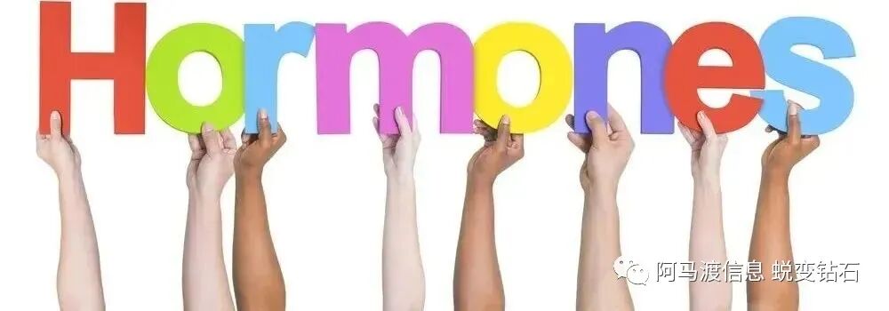 SOMADERM凝胶|荷尔蒙平衡，助我们每个人乘风破浪！