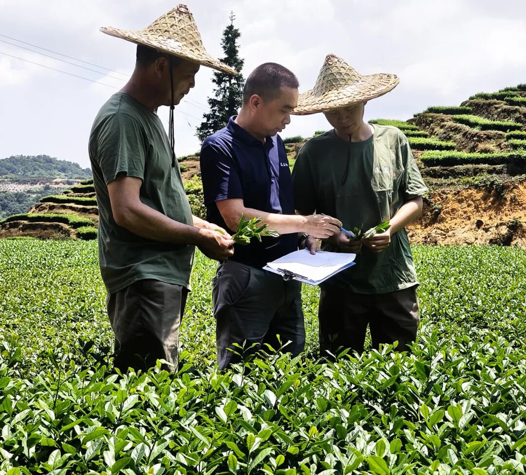 IMG20240808113709 拷贝.jpg