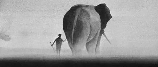 一个不合群的人，往往是悟透了4个道理！