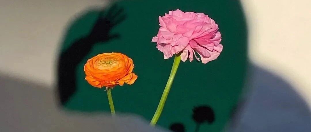 成年人相处最舒服的五种状态