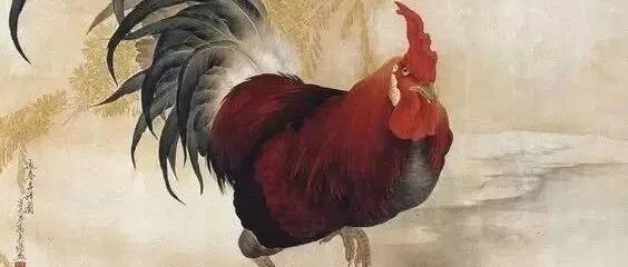 一个妇人在杀鸡前的晚上喂鸡，不经意地说：快吃吧，这是你最后一顿，结果……