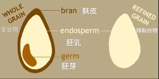 谷物指的是_谷物食物是什么_全谷物是指什么食物