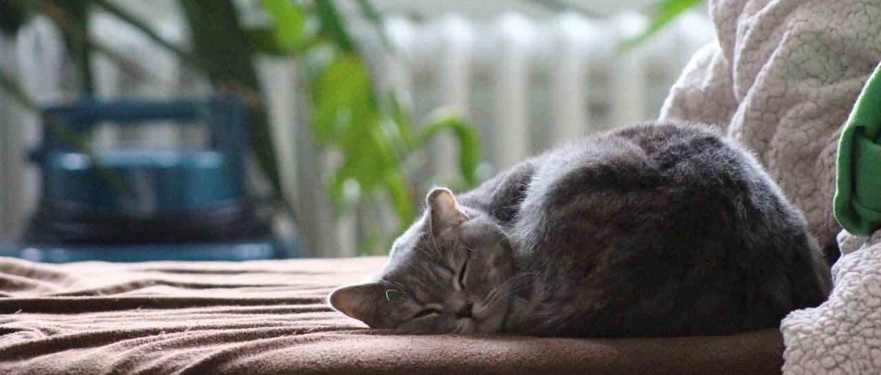 快入睡时突然一抖，是大脑以为身体要死了？