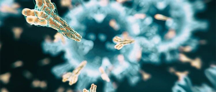 研究发现新冠抗体在人体内只能持续几周，这意味着什么？