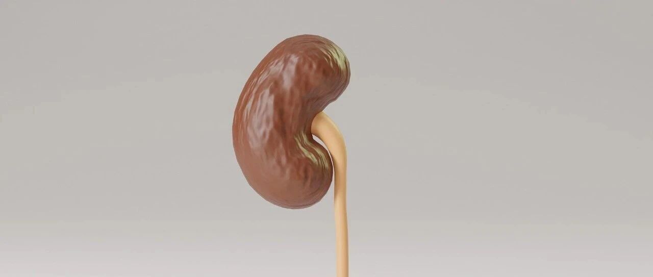 “医生，我天生只有一个肾？会影响正常生活吗？”