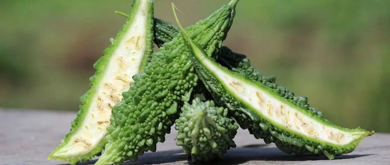 吃苦瓜容易骨质疏松？每天一个苦瓜，还能降血糖？一文讲明白