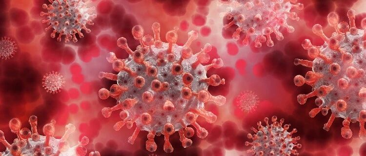 新冠疾病早期吸入布地奈德，效果堪比接种疫苗，真的吗？