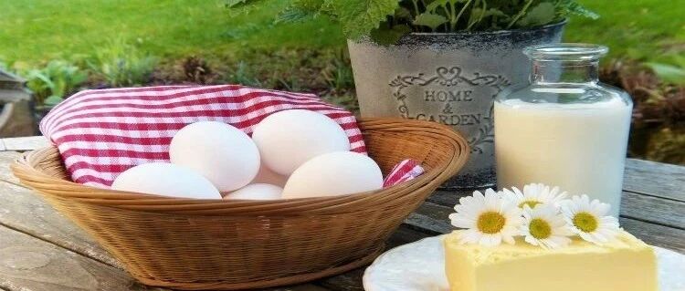 高蛋白饮食致癌？这些“科学证据”靠谱吗