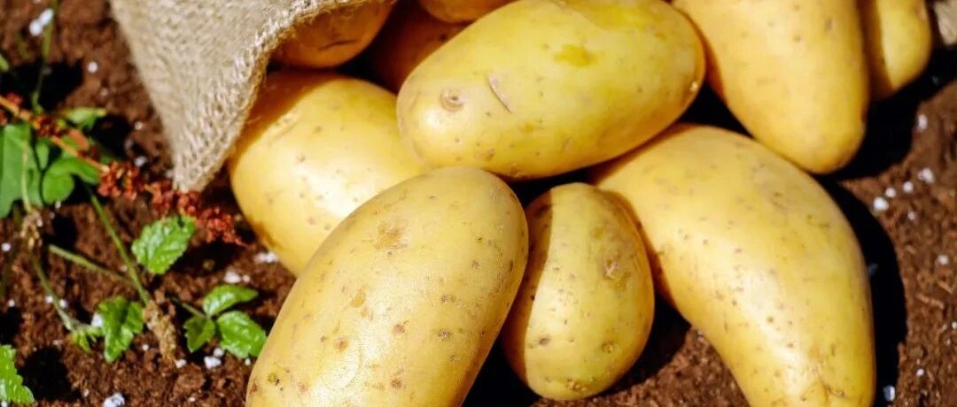 这5种常见果蔬的皮千万不能吃？只有一种坚决不能吃