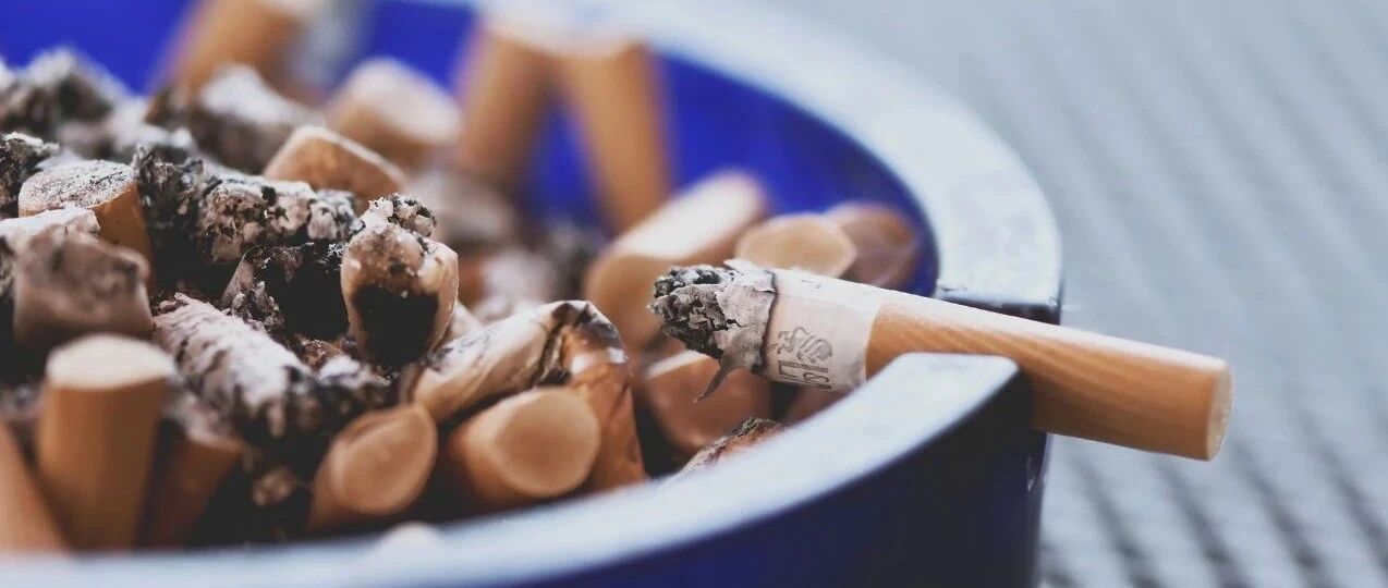 茶烟是“健康烟草”？茶烟能戒烟？一文揭开真相