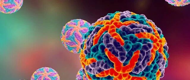 为什么今年新加坡登革热疫情格外严重？登革病毒也变异了？