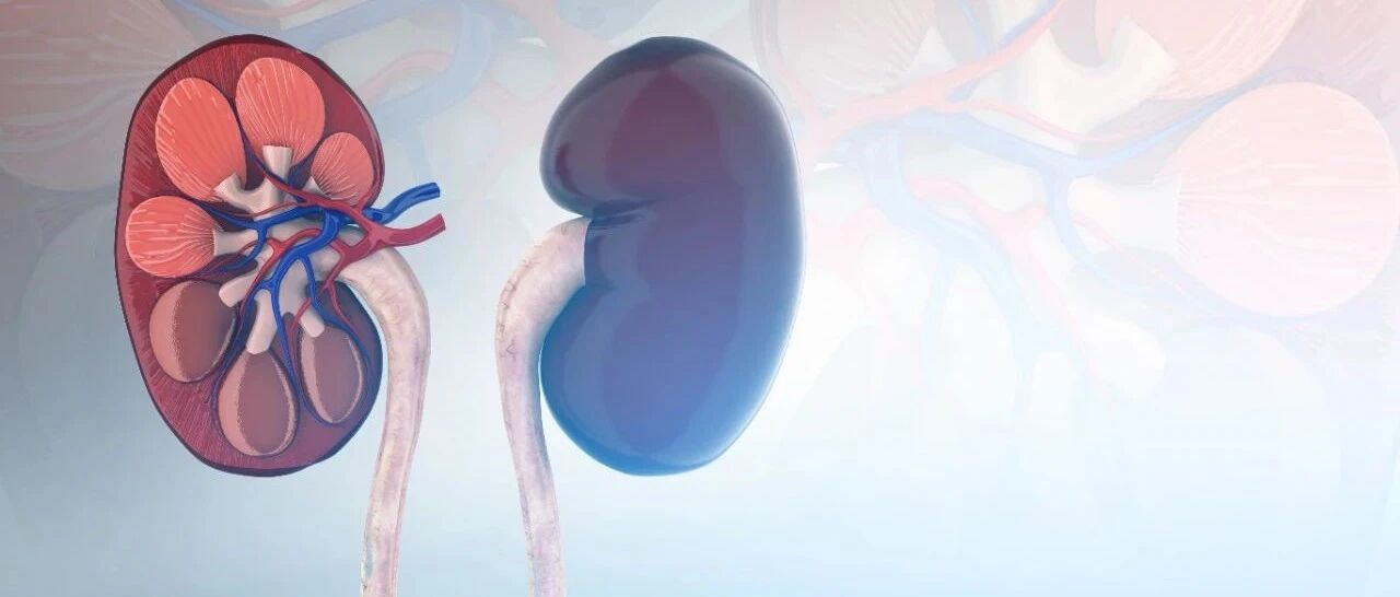 “晨起两坚持，晚上两不要”就能避免患上尿毒症吗？