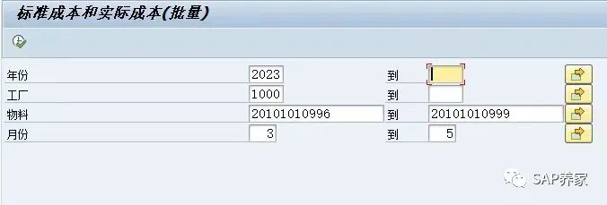 SAP 俄罗斯报表03 - 封面图