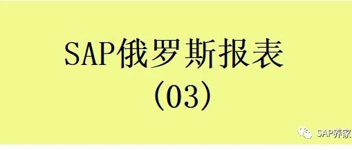 SAP 俄罗斯报表03 - 封面图